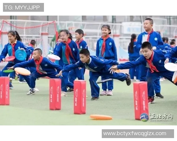 杨敏独家分享飞盘技巧与心得体会助你轻松掌握这项运动的乐趣与魅力