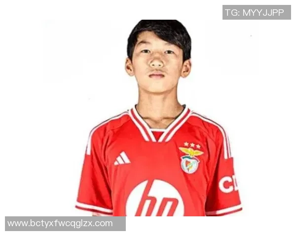 王磊专访揭秘足球成功秘诀与未来发展方向探讨