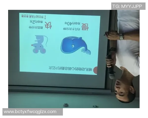 深圳与上海极限运动队赛后复盘个人能力分析与对比 深圳与上海极限运动队赛后复盘个人能力分析与对比