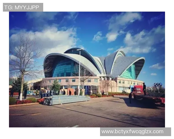 武汉乒乓球队在全国锦标赛中的拼搏历程与荣耀时刻全景回顾